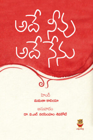 Home ade neevu ade nenu